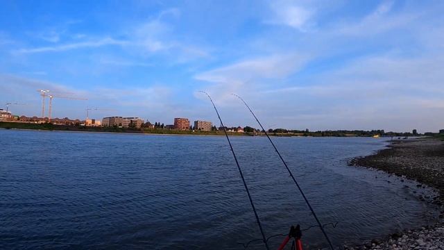 Рыбалка на реке/ Ловля Сома и Угря на червя. Angeln am Rhein/ Wels und Aal auf Tauwurm. смотреть онлайн