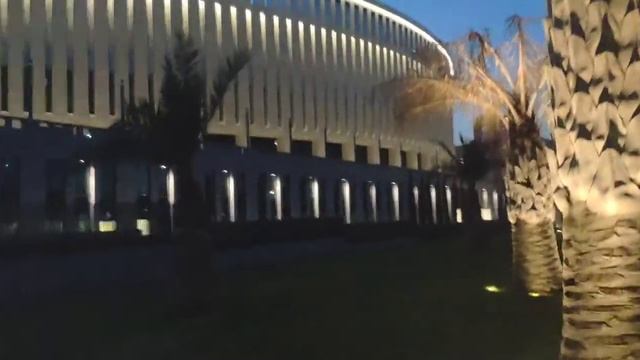 Краснодар. Парк ГАЛИЦКОГО. Эксклюзивные пальмы!!! смотреть онлайн