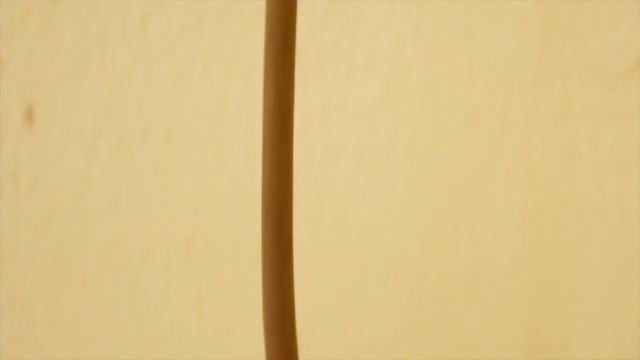 Avocado Mystery | When & How To Successfully Transfer From Water To The Soil смотреть онлайн