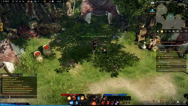 Lost Ark. ищу людей чтоб играть вместе. смотреть онлайн