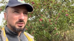 китайка долго