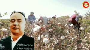 МАМУРЖОН   Узоқов ижро этган қўшиқлардан бири