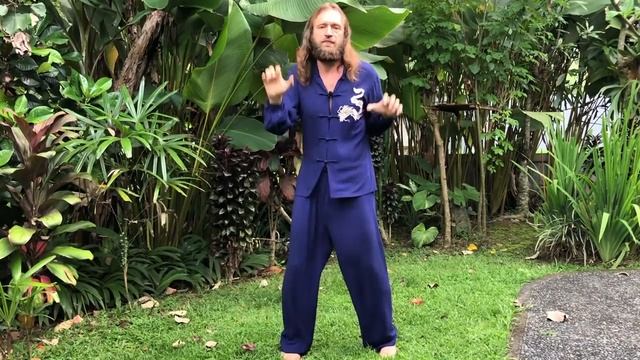 Быстрый цигун _ Цигун быстрый набор энергии.mp4