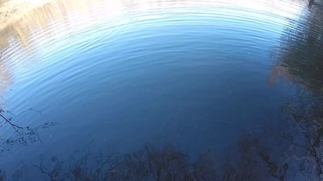 Fang flere fisk på Blink med disse tips