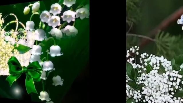 ?ВОЛШЕБНОГО НАСТРОЕНИЯ.. ЛАНДЫШИ, ЛАНДЫШИ, МАЙСКОГО СОЛНЦА ПРИВЕТ? смотреть онлайн