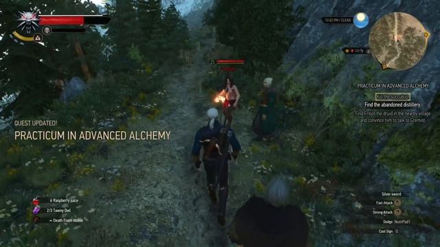 Witcher 3: Killing the Succubus - Advanced Alchemy смотреть онлайн