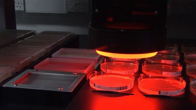 The Human Genome Project: Personal Stories смотреть онлайн