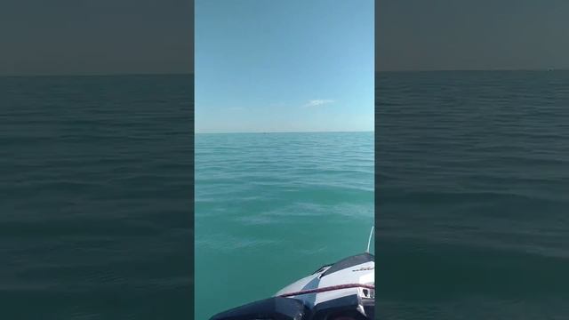 Jet Ski Gulf Of Mexico