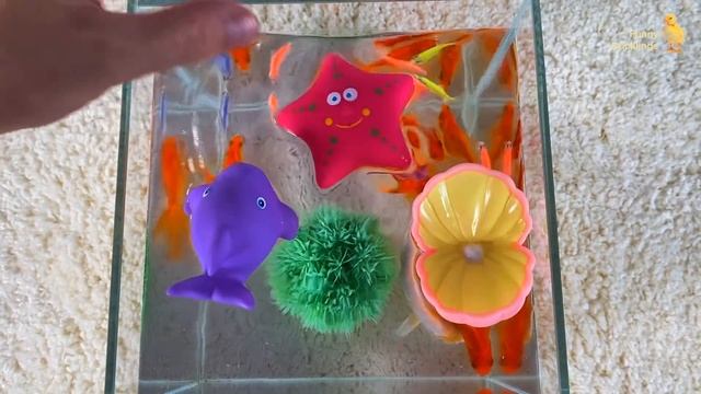 Goldfish, Koi Carp Fish - cute fish video смотреть онлайн