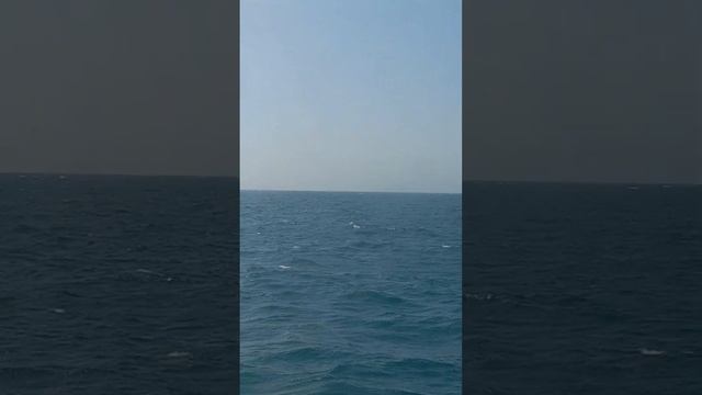 petite vue de Saint malo смотреть онлайн