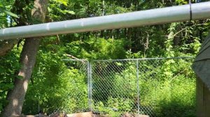 Американский курятник