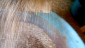 Веялка для зерна, своими руками , в деле. Как провеять зерно на посев.