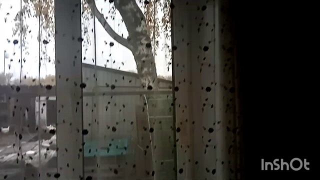 Как живут в русской деревне. Домашние,житейские дела... смотреть онлайн