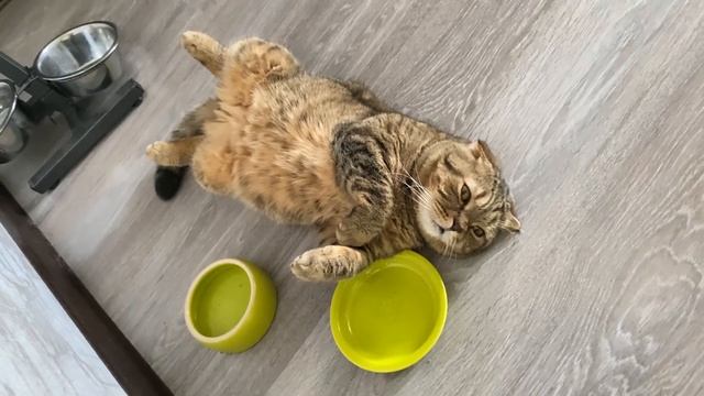 что ОНИ творят за ПАПИНОЙ спиной смотреть онлайн