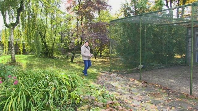 "Парк камней" Моседис, Литва. смотреть онлайн