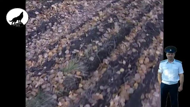 Пограничный столб смотреть онлайн