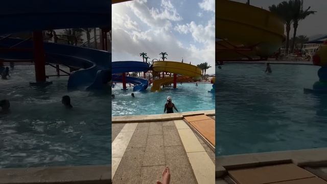 Аквапарк альбатрос 5 смотреть онлайн