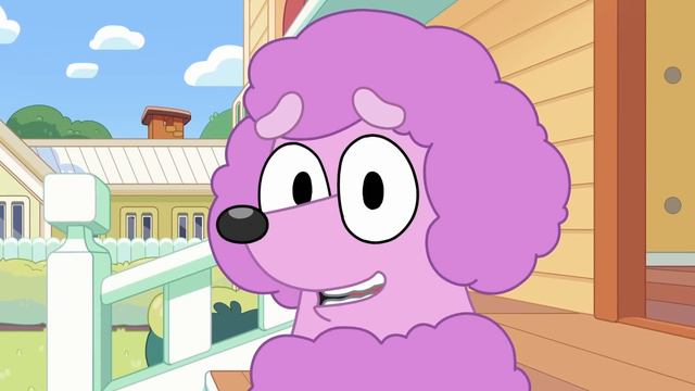 Baby Race | Bluey Season 2 | Bluey