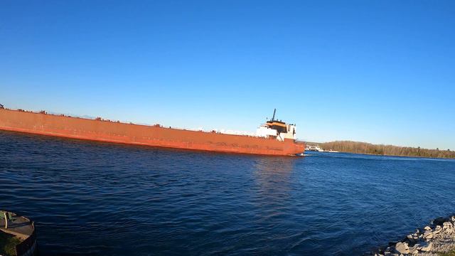 Great Lakes Freighter Stewart Cort, Sault Ste. Marie смотреть онлайн