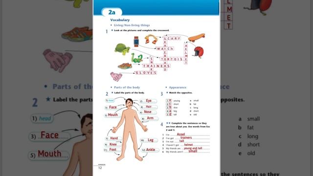 5-grade. P:12-13. Work book. Excel5workbook. 5сынып. 12-13бет смотреть онлайн