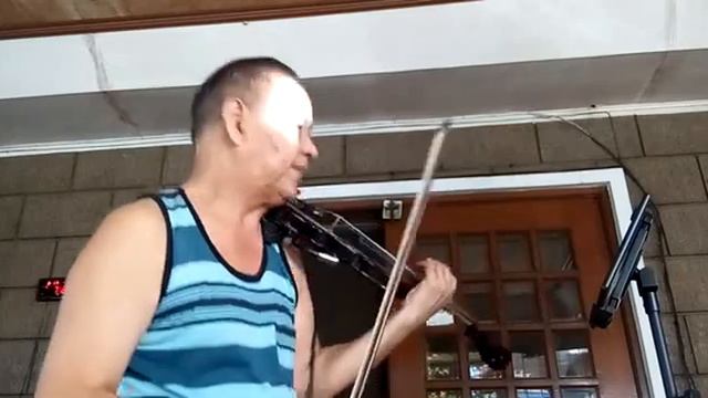 howl's moving castle (violin cover) смотреть онлайн