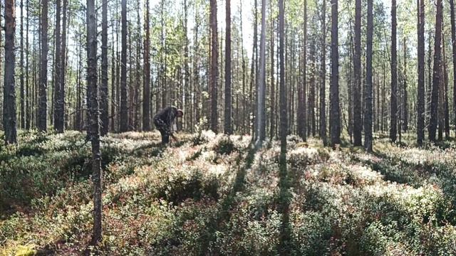 рыбалка отдых в Карелии смотреть онлайн