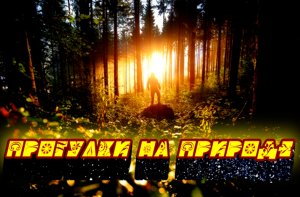 ПРОГУЛКИ НА ПРИРОДЕ