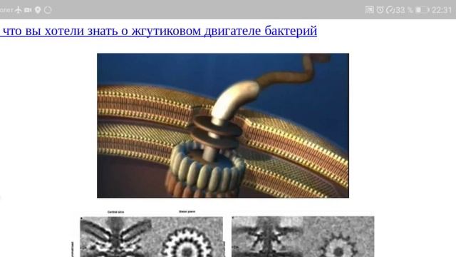 БТГ. Мотор-генератор и электролизер С. Мейера смотреть онлайн