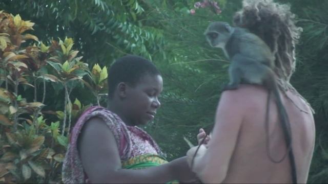 Путешествие на остров Занзибар (Zanzibar) смотреть онлайн