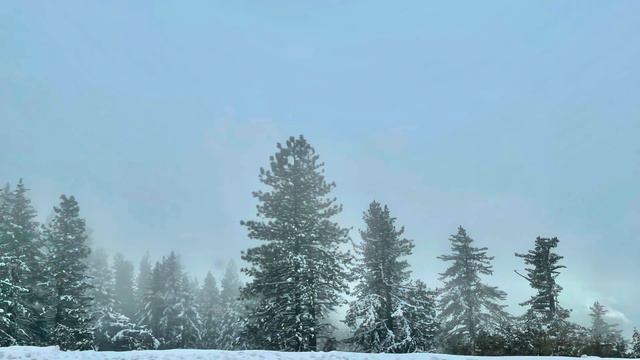 Лес Эльдорадо в Северной Калифорнии.Scenic view of ELDORADO national forest in California. смотреть онлайн