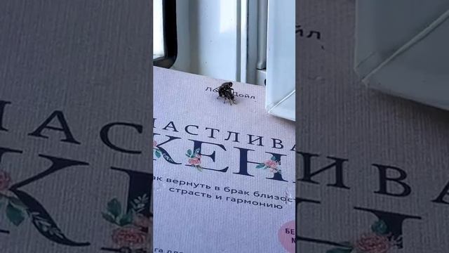 счастливая жена смотреть онлайн