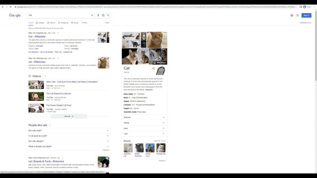How to CAT - Cat paws on your screen -The more you know !! смотреть онлайн