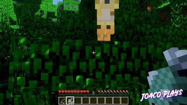 Como DOMESTICAR un OCELOTE | Tutorial de Minecraft 1.7.2 - 1.12.2 (2020) смотреть онлайн