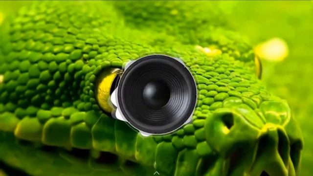 kavabanga Depo kolibri, RAJA Анаконда смотреть онлайн