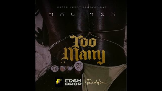Malinga   Too Many (Frsh Drop Riddim)