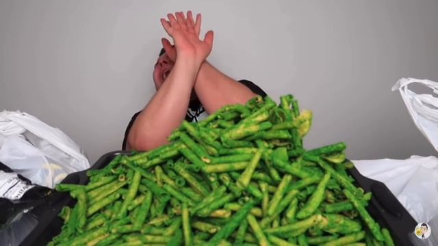 Nikocado & Orlin Fighting and Screaming Compilation смотреть онлайн