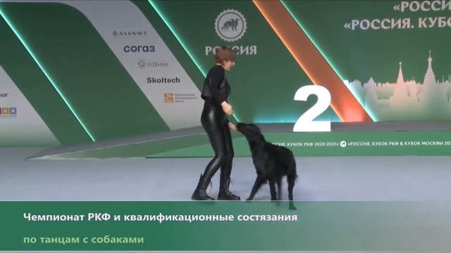 Танцы с собаками. «Я ворона». Будкина Екатерина и Прямошерстный ретривер Сириус смотреть онлайн