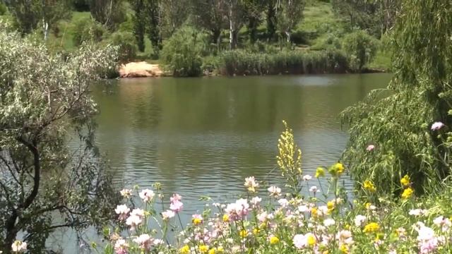 Безопасные каникулы смотреть онлайн