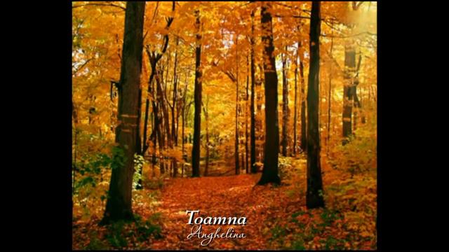 TOAMNA (Spic de grâu) -- Fonograma смотреть онлайн
