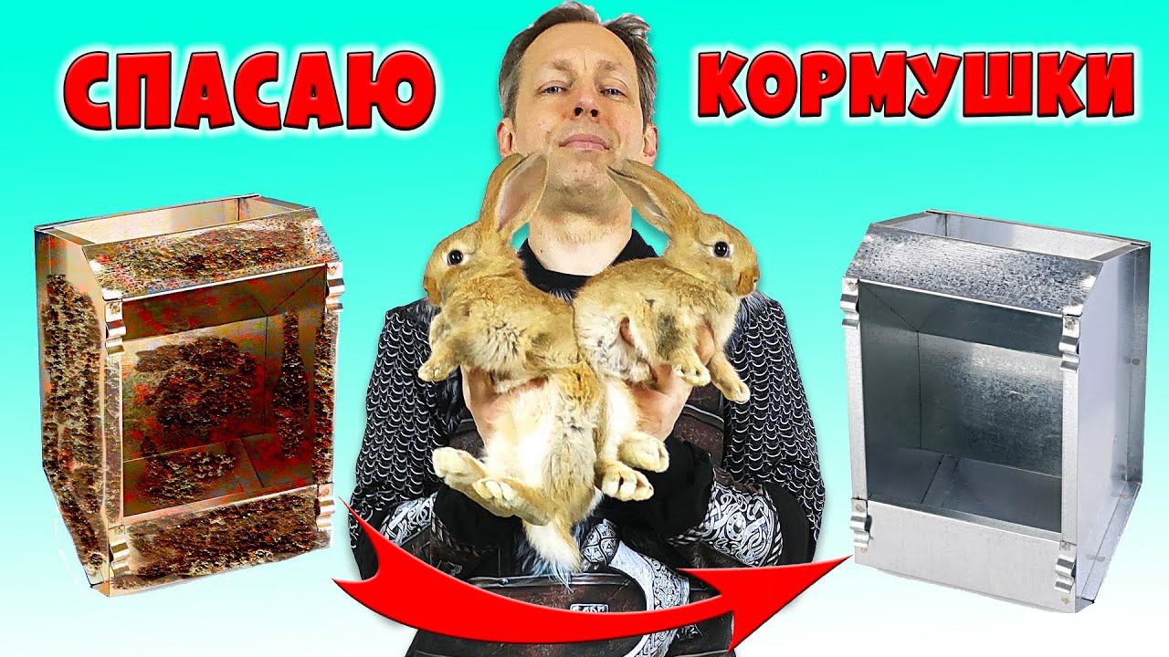 Восстановление кормушек для кроликов #rabbit #кролики #кролик #кролиководство смотреть онлайн