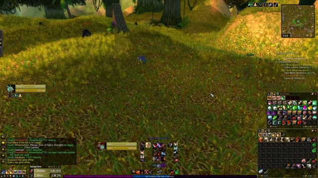 Mac's WoW Hardcore Stream Part: ? смотреть онлайн