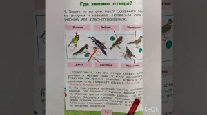 1 класс. ГДЗ. Окружающий мир. Рабочая тетрадь.Часть 2 Страницы 12-13. С комментированием.