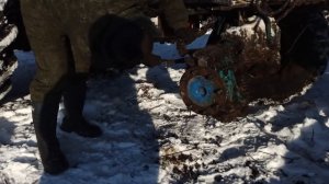 Зимняя заготовка ольхи в болоте на тракторе Т40.