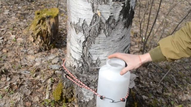 Жизнь в самом соку смотреть онлайн