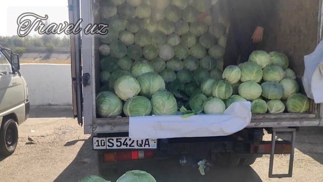 Оптовый рынок тыквы / Wholesale Pumpkin Market