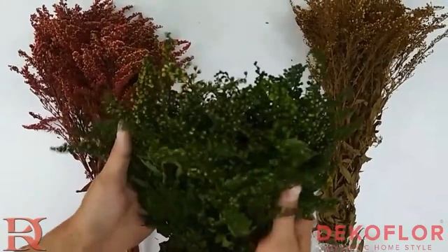 Стабилизированный Солидаго, зеленый, желтый, бордовый смотреть онлайн