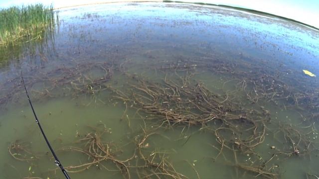 Рыбалка на ЗМЕЕГОЛОВА/Залив приключений полон зубастого разбойника смотреть онлайн