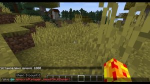 как получить голову со скином в майкнрафт без модов (1.16.5)