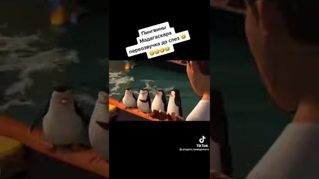 Озвучка-Мадагаскара с Матами смех ржака смотреть онлайн