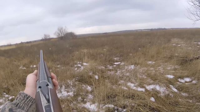 С Байкалом за куропатками. смотреть онлайн